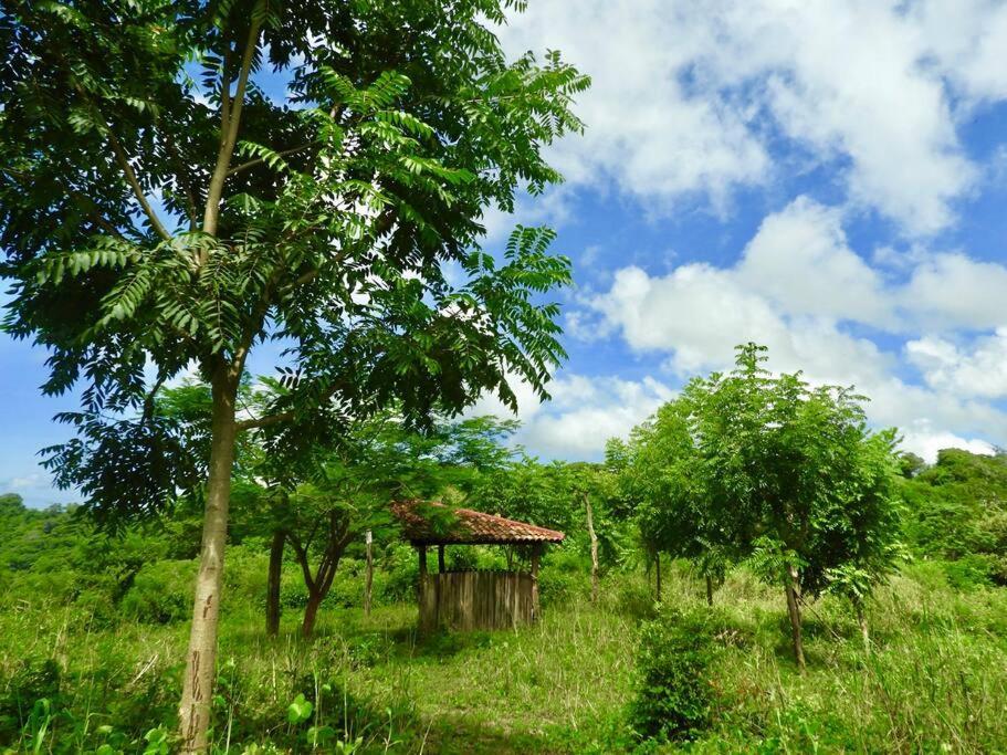 Jungle Farm, Digital Detox Cottage In Nicaragua La Esperanza Exterior foto