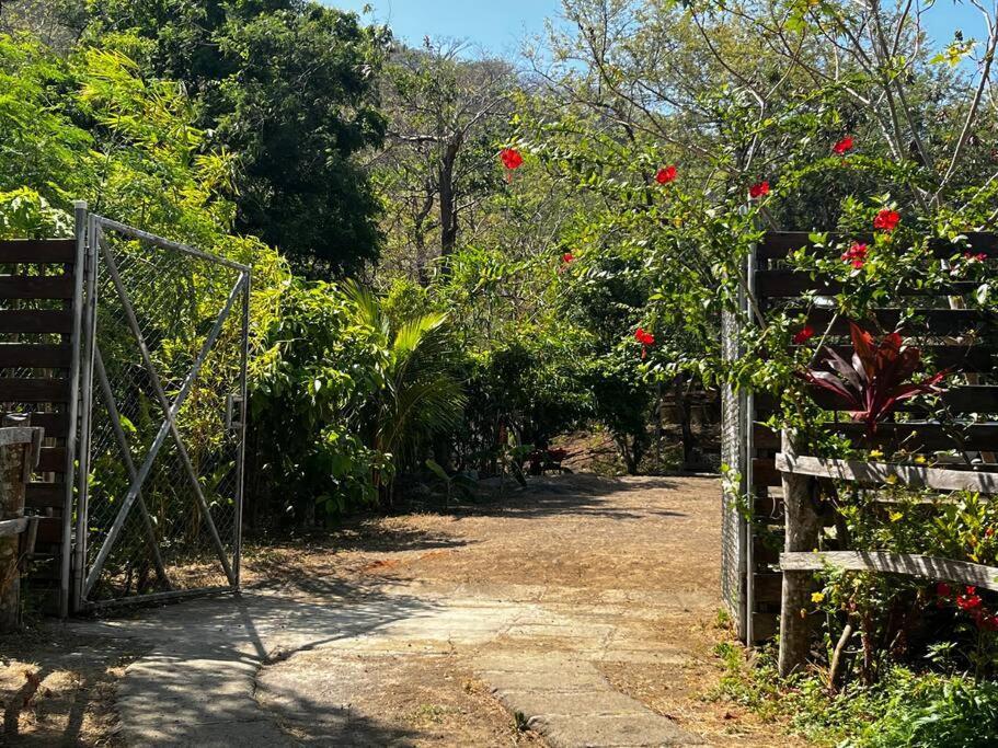 Jungle Farm, Digital Detox Cottage In Nicaragua La Esperanza Exterior foto